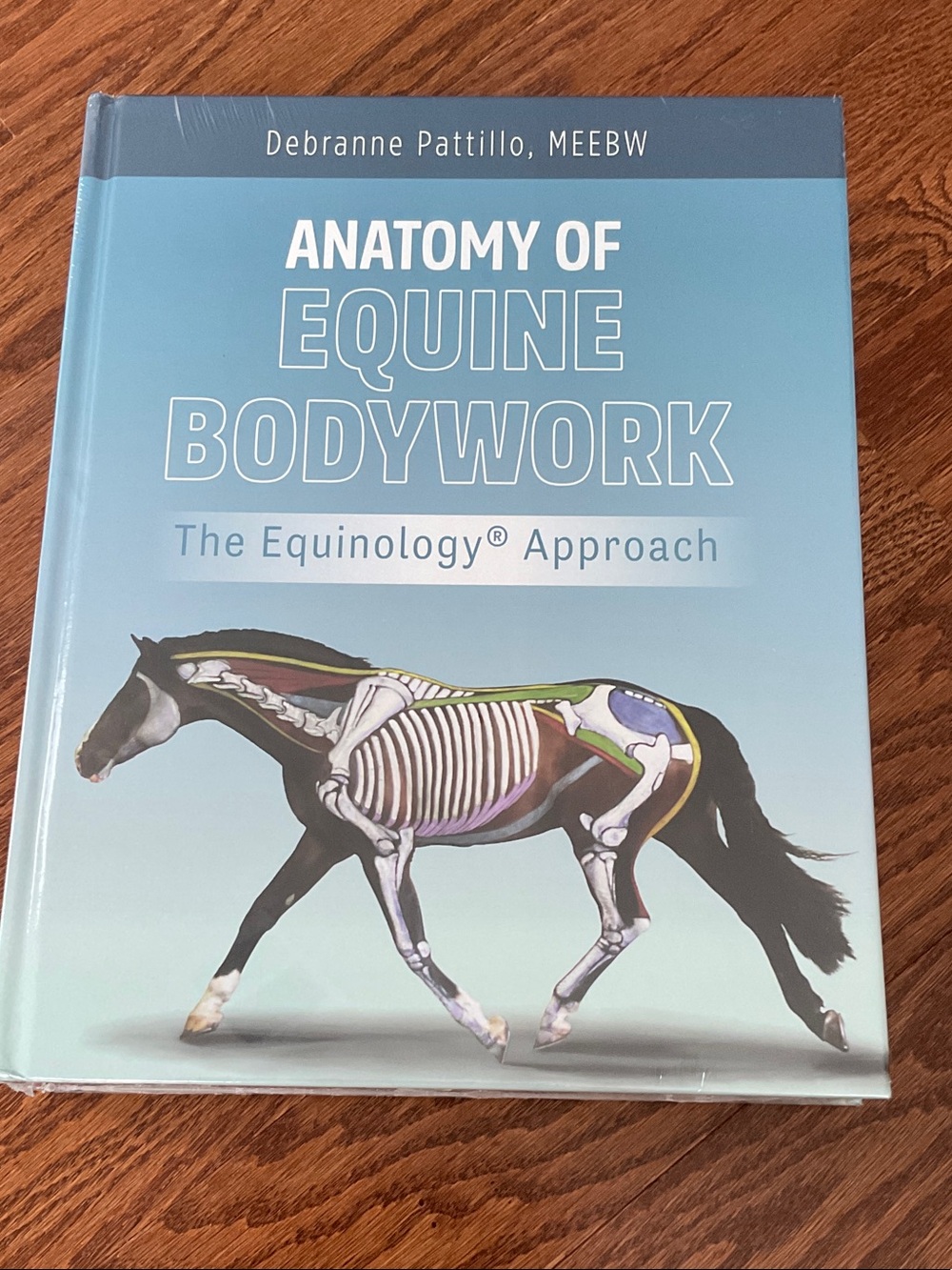 Anatomy of Equine Bodywork by Debranne Pattillo - Hardcover